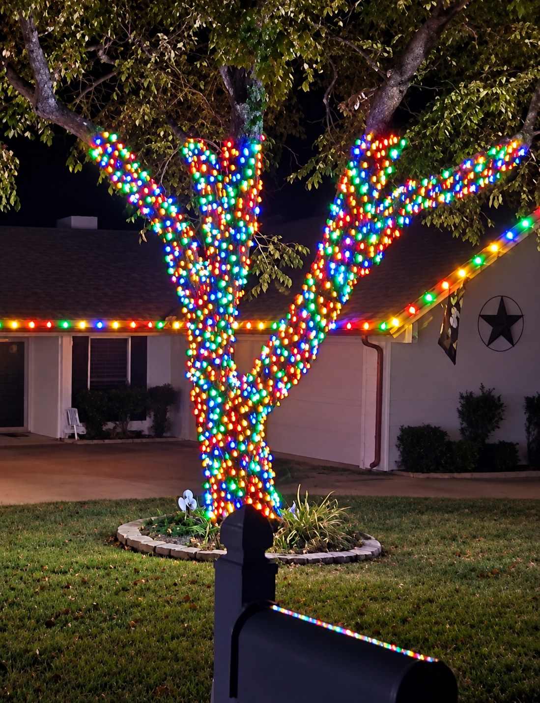 Tree wrapped in multicolor Christmas lights at night